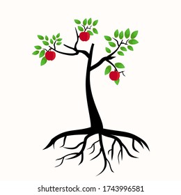 illustration of an apple tree, in a flat style.

