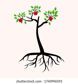 illustration of an apple tree, in a flat style.

