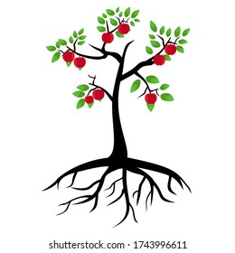 illustration of an apple tree, in a flat style.
