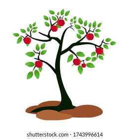 illustration of an apple tree, in a flat style.
