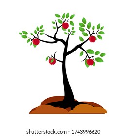 illustration of an apple tree, in a flat style.
