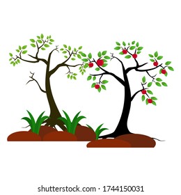 
illustration of an apple tree, in a flat style.