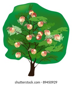 illustration with apple tree isolated on white background