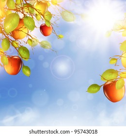 illustration of apple tree over blue sky with summer sun