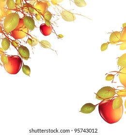 illustration of apple tree over white background