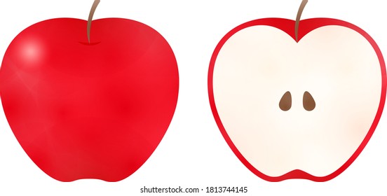 Illustration of apple in watercolor style