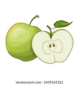 Illustration of apple, whole and half, vector illustration isolated on white background, eps10