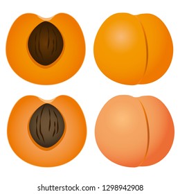 Illustration of the apricot