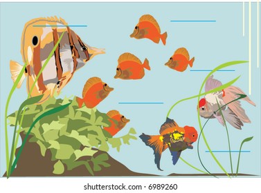 ilustración con acuario y peces diferentes