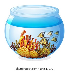 Illustration of an aquarium with fishes on a white background