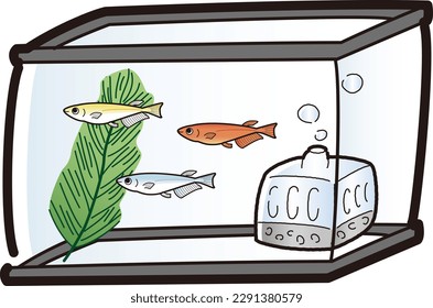 Illustration of an aquarium with killifish