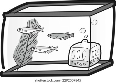 Illustration of an aquarium with killifish