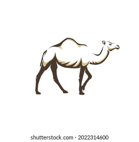 illustration of Arabic camel animal 