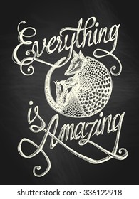 Illustration of armadillo with "Everything is amazing" hand drawn quote, white on the blackboard background