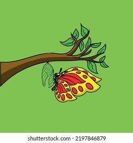 illustration art butterfly character design