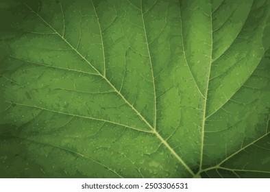 Illustration art of green leaf structure
