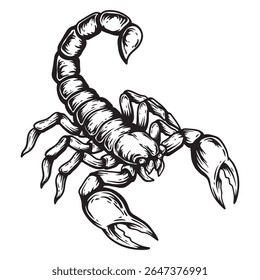 illustration art hand drawn black and white scorpion tattoo an t-shirt design