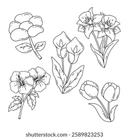 illustration art set bundle of flower line art vector design