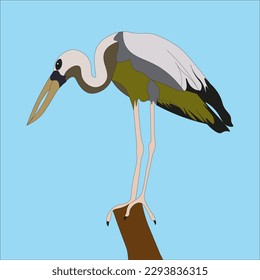 
illustration The Asian openbill stork is a large wading bird in the stork family Ciconiidae. This distinctive heron is found primarily in the Indian subcontinent and Southeast Asia