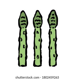 Illustration of Asparagus: Illustration like hand drawn illustration with ink and brush