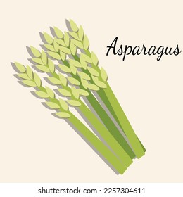 illustration of Asparagus for teacher, student , college, banner, flyer, power point, and another comercial use