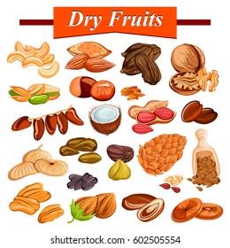 illustration of assorted dry fruit set including cashew nut, almond,raisin,fig