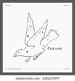 Illustration of astrological zodiac Corvus Crow