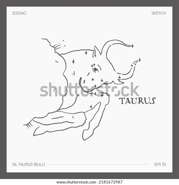 Illustration Astrological Zodiac Taurus Bull Stock Vector Royalty Free