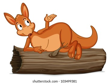 Illustration of an aussie kangaroo