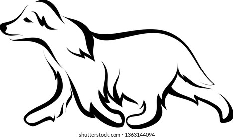 illustration of australian shepherd