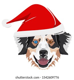 Illustration Australian Shepherd with red Christmas hat 
