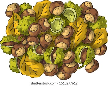 Illustration with autumn chestnuts, chestnut skins and leaves