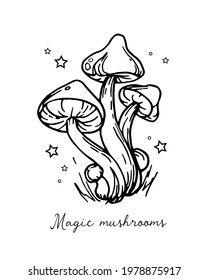 Illustration of autumn forest plants. Graphic vintage mushrooms with stars. Botanical illustrations. Witch mushrooms for Halloween. Graphic vintage doodle illustration with space magic mushrooms. Idea