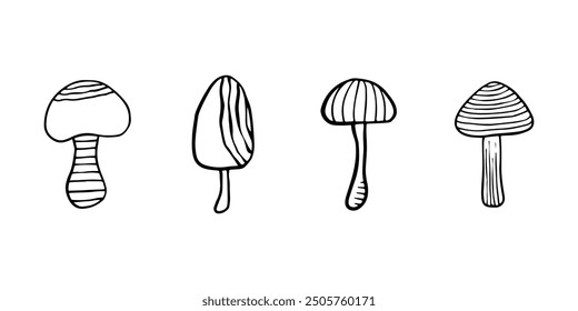 Illustration of autumn forest plants. Graphic vintage mushrooms with stars. Botanical illustrations. Witch mushrooms for Halloween. Graphic vintage doodle illustration with space magic mushrooms. 