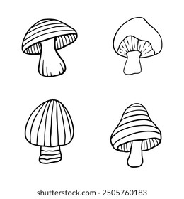 Illustration of autumn forest plants. Graphic vintage mushrooms with stars. Botanical illustrations. Witch mushrooms for Halloween. Graphic vintage doodle illustration with space magic mushrooms. 