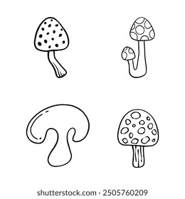 Illustration of autumn forest plants. Graphic vintage mushrooms with stars. Botanical illustrations. Witch mushrooms for Halloween. Graphic vintage doodle illustration with space magic mushrooms. 