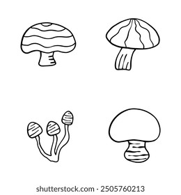 Illustration of autumn forest plants. Graphic vintage mushrooms with stars. Botanical illustrations. Witch mushrooms for Halloween. Graphic vintage doodle illustration with space magic mushrooms. 