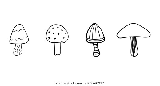 Illustration of autumn forest plants. Graphic vintage mushrooms with stars. Botanical illustrations. Witch mushrooms for Halloween. Graphic vintage doodle illustration with space magic mushrooms. 