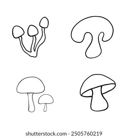 Illustration of autumn forest plants. Graphic vintage mushrooms with stars. Botanical illustrations. Witch mushrooms for Halloween. Graphic vintage doodle illustration with space magic mushrooms. 