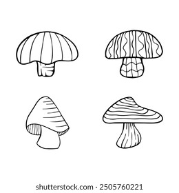 Illustration of autumn forest plants. Graphic vintage mushrooms with stars. Botanical illustrations. Witch mushrooms for Halloween. Graphic vintage doodle illustration with space magic mushrooms. 