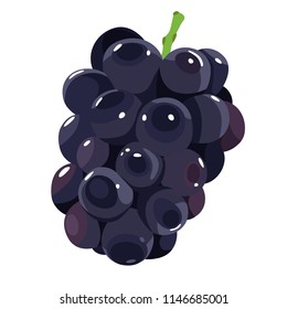 Illustration of autumn fruit grapes.