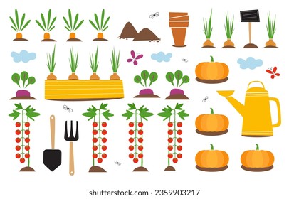 Illustration of the autumn gardening. 
Set of the gardening equipment and vegetables on the kitchen garden