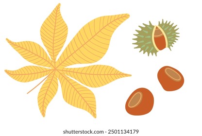 Illustration of an autumn leaf and chestnuts. The yellow leaf with detailed veins is paired with a spiky green chestnut shell and two brown chestnuts, representing the fall season.