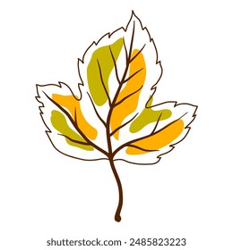 Illustration of autumn leaf. Decorative falling foliage.
