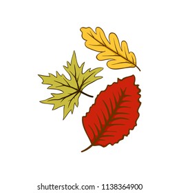 Illustration autumn leaf fallen