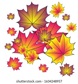 Illustration autumn leaf maple full color background or pattern vector design icon