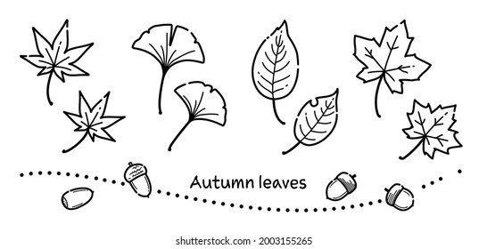 Illustration von Herbstblättern mit einfachen Linien (einfarbig)