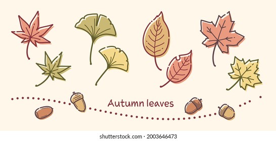 Illustration autumn leaves drawn