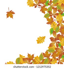 Border Frame Colorful Autumn Leaves Isolated Stock Photo 1153651942 ...