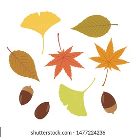 Illustration of autumn leaves, ginkgo leaves, acorns